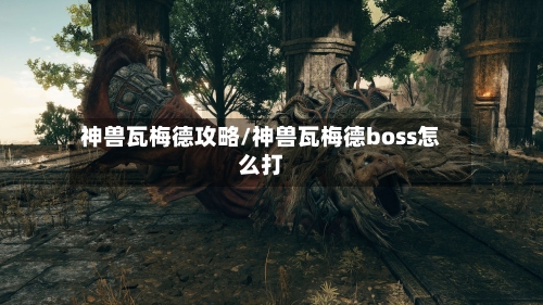 神兽瓦梅德攻略/神兽瓦梅德boss怎么打