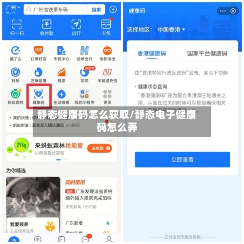 静态健康码怎么获取/静态电子健康码怎么弄