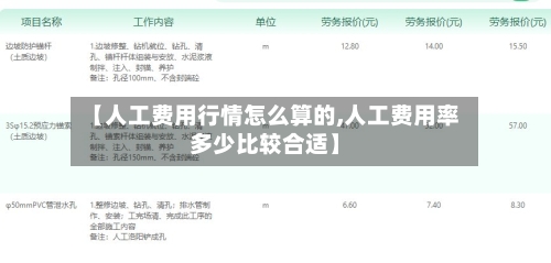 【人工费用行情怎么算的,人工费用率多少比较合适】