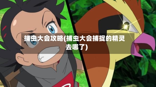 捕虫大会攻略(捕虫大会捕捉的精灵去哪了)-第1张图片