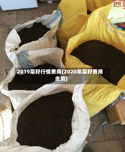 2019菜籽行情费用(2020年菜籽费用走势)-第1张图片