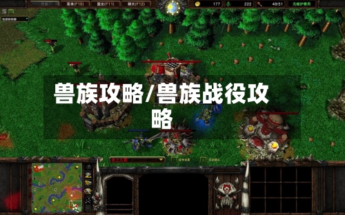 兽族攻略/兽族战役攻略-第1张图片