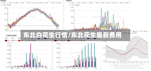 东北白花生行情/东北花生最新费用-第1张图片