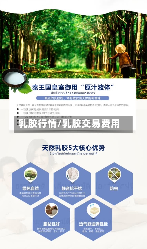 乳胶行情/乳胶交易费用-第1张图片