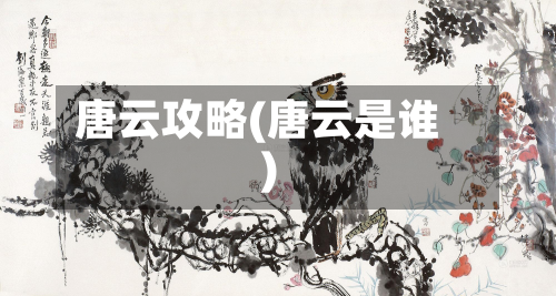 唐云攻略(唐云是谁)-第1张图片