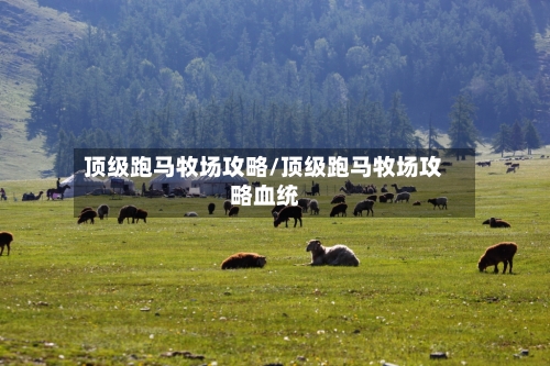 顶级跑马牧场攻略/顶级跑马牧场攻略血统-第1张图片