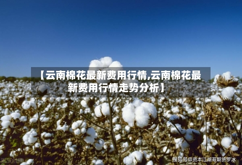 【云南棉花最新费用行情,云南棉花最新费用行情走势分析】-第1张图片