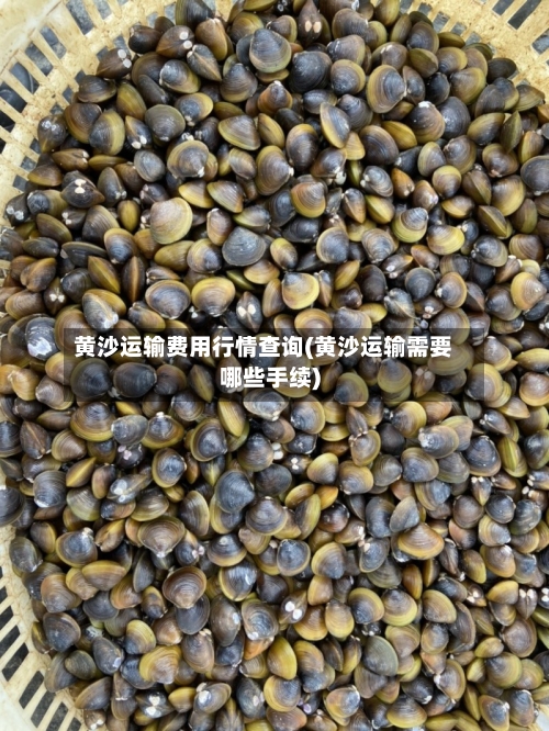 黄沙运输费用行情查询(黄沙运输需要哪些手续)