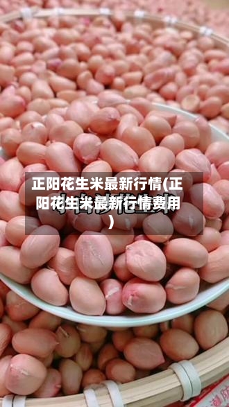 正阳花生米最新行情(正阳花生米最新行情费用)