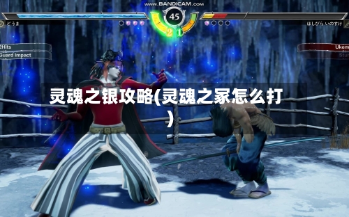 灵魂之银攻略(灵魂之冢怎么打)