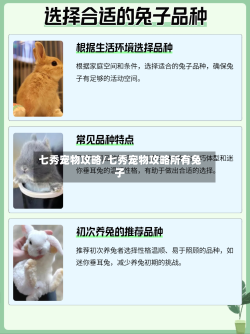 七秀宠物攻略/七秀宠物攻略所有兔子