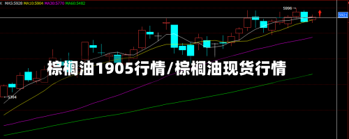 棕榈油1905行情/棕榈油现货行情