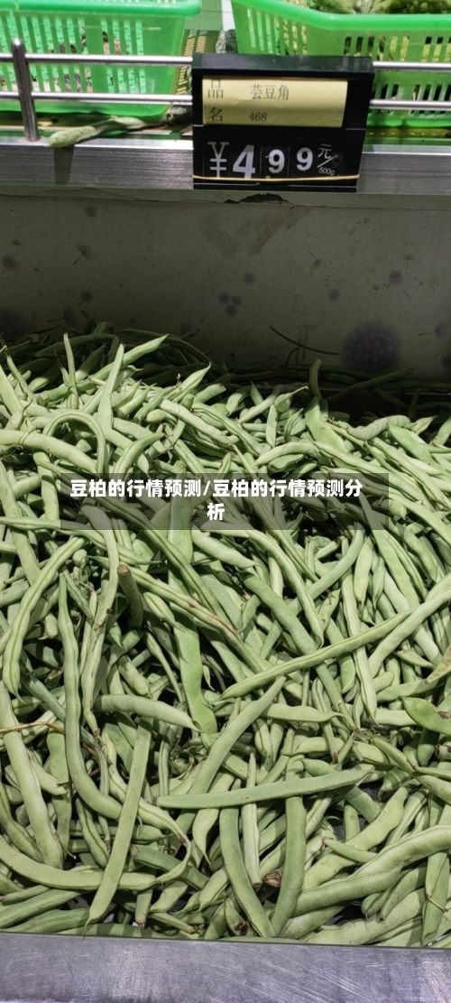 豆柏的行情预测/豆柏的行情预测分析