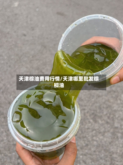 天津棕油费用行情/天津哪里批发棕榈油-第1张图片