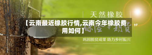 【云南最近橡胶行情,云南今年橡胶费用如何】-第1张图片