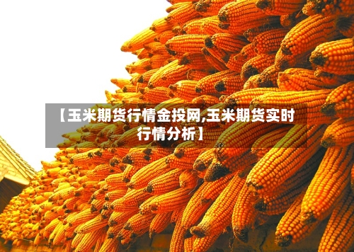 【玉米期货行情金投网,玉米期货实时行情分析】