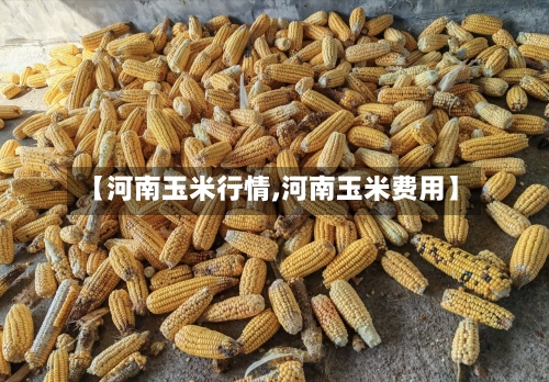 【河南玉米行情,河南玉米费用】-第1张图片