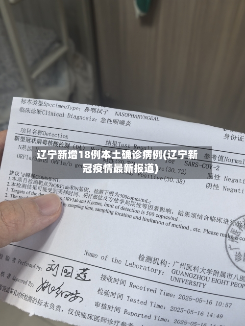辽宁新增18例本土确诊病例(辽宁新冠疫情最新报道)-第2张图片