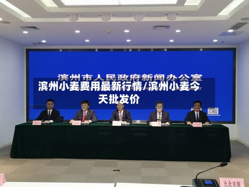 滨州小麦费用最新行情/滨州小麦今天批发价