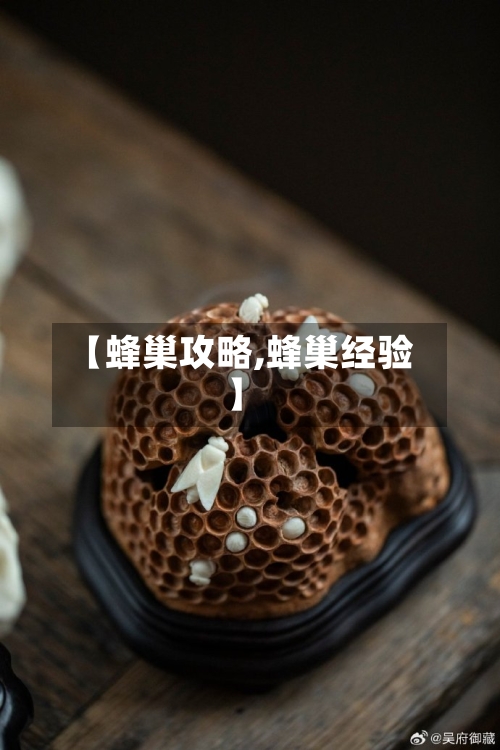【蜂巢攻略,蜂巢经验】-第1张图片