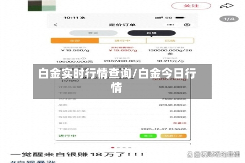 白金实时行情查询/白金今日行情-第1张图片