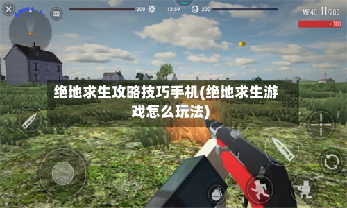 绝地求生攻略技巧手机(绝地求生游戏怎么玩法)-第1张图片