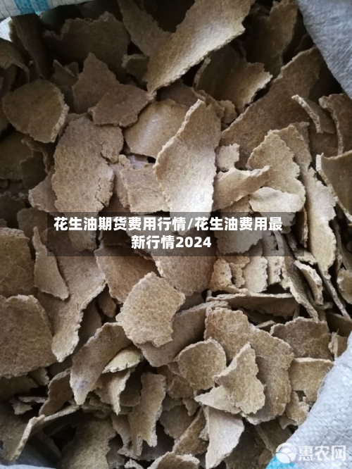 花生油期货费用行情/花生油费用最新行情2024-第1张图片