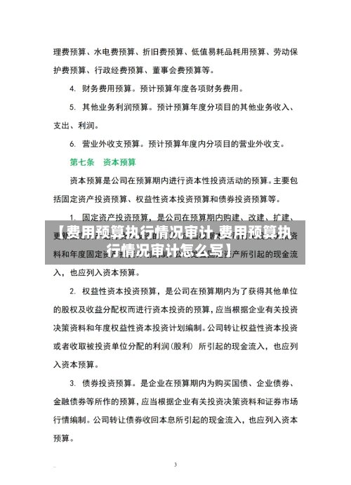 【费用预算执行情况审计,费用预算执行情况审计怎么写】-第1张图片