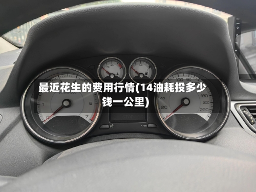 最近花生的费用行情(14油耗投多少钱一公里)-第1张图片