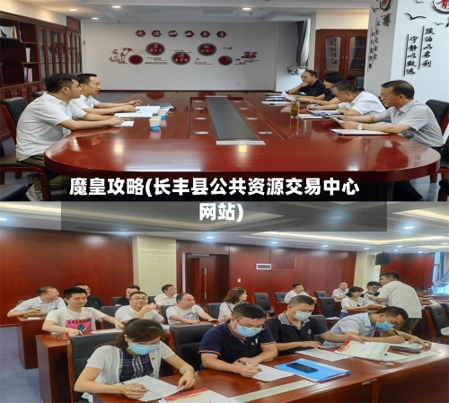 魔皇攻略(长丰县公共资源交易中心网站)-第1张图片