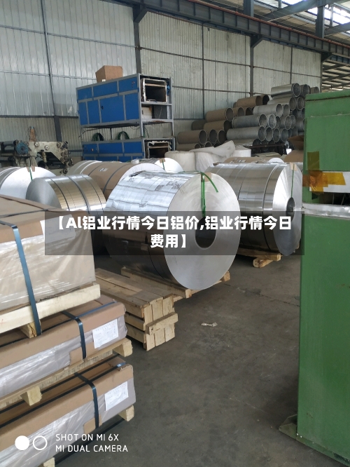 【Al铝业行情今日铝价,铝业行情今日费用】