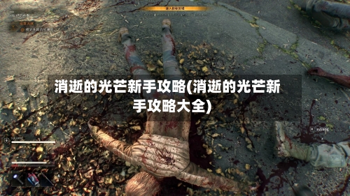 消逝的光芒新手攻略(消逝的光芒新手攻略大全)