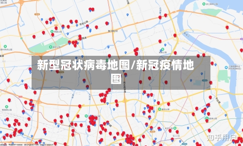 新型冠状病毒地图/新冠疫情地图