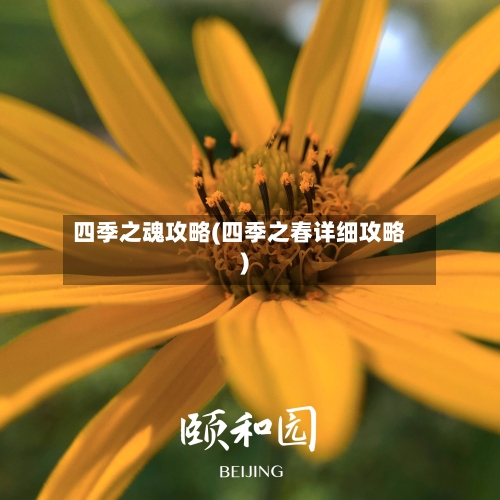 四季之魂攻略(四季之春详细攻略)