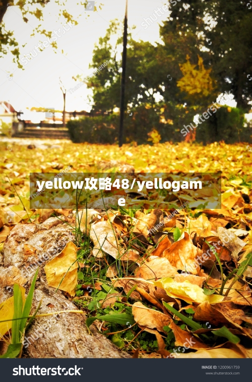 yellow攻略48/yellogame