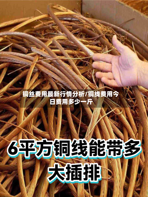 铜丝费用最新行情分析/铜线费用今日费用多少一斤