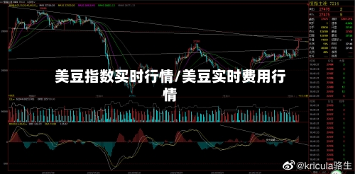 美豆指数买时行情/美豆实时费用行情-第2张图片