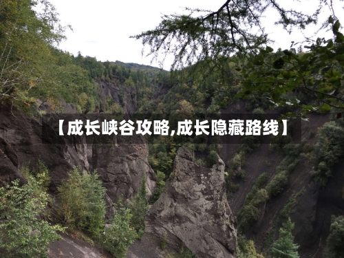 【成长峡谷攻略,成长隐藏路线】-第2张图片