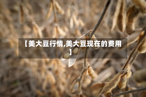 【美大豆行情,美大豆现在的费用】