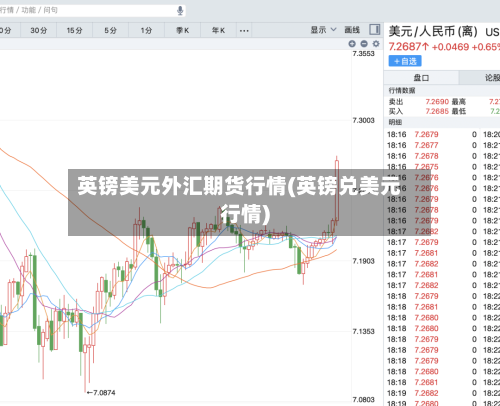 英镑美元外汇期货行情(英镑兑美元行情)-第3张图片