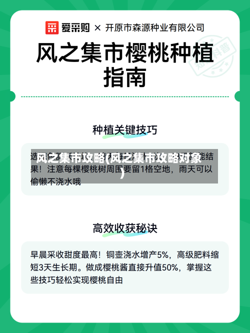 风之集市攻略(风之集市攻略对象)