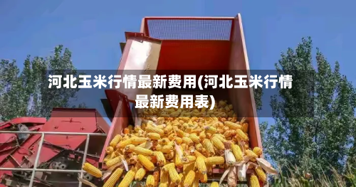 河北玉米行情最新费用(河北玉米行情最新费用表)-第2张图片