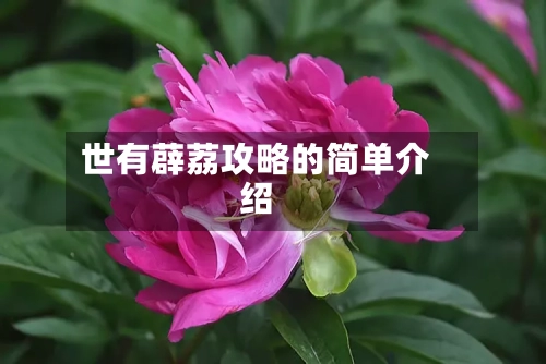 世有薜荔攻略的简单介绍-第1张图片
