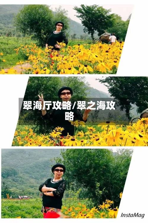 翠海厅攻略/翠之海攻略-第1张图片