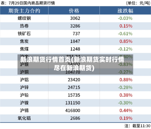 新浪期货行情首页(新浪期货实时行情尽在新浪期货)-第1张图片