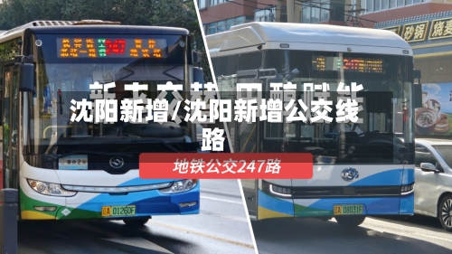 沈阳新增/沈阳新增公交线路