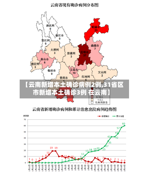 【云南新增本土确诊病例2例,31省区市新增本土确诊3例 在云南】