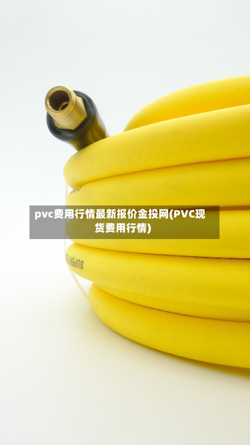 pvc费用行情最新报价金投网(PVC现货费用行情)-第2张图片