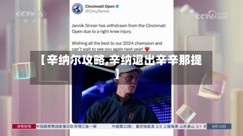 【辛纳尔攻略,辛纳退出辛辛那提】-第1张图片