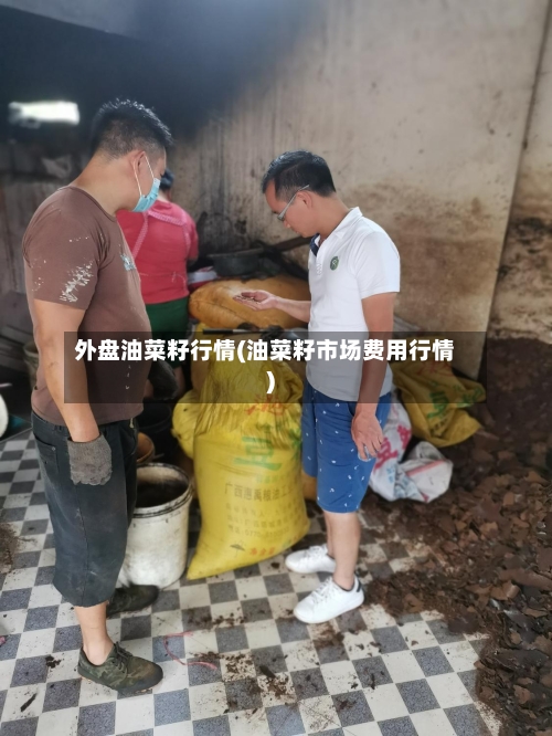 外盘油菜籽行情(油菜籽市场费用行情)-第1张图片